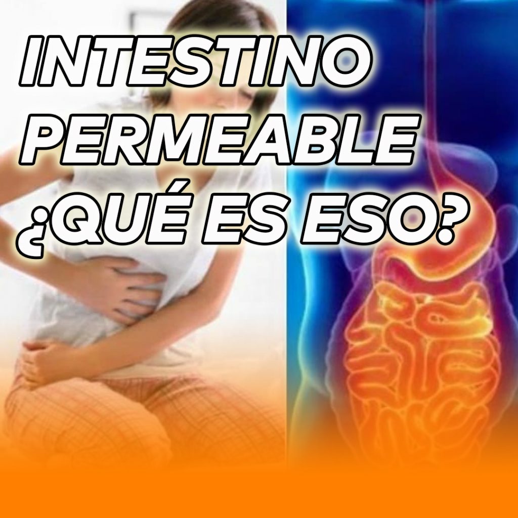 permeabilidad intestinal